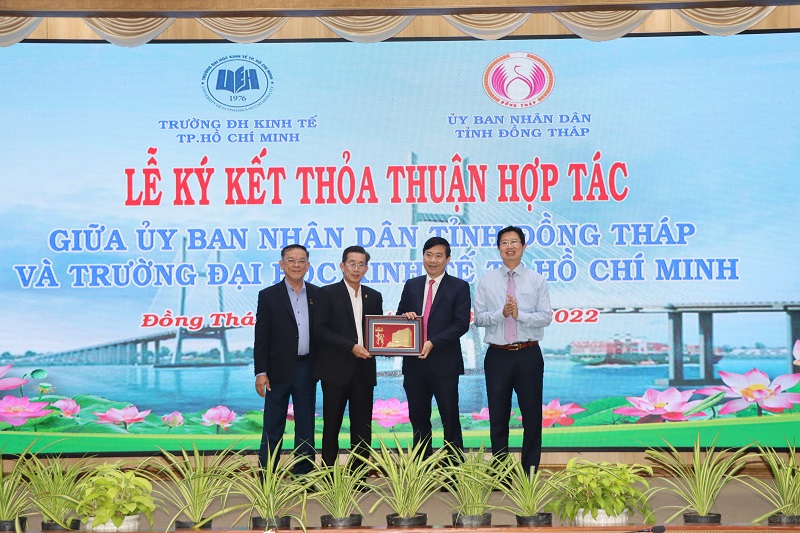 cá cược thể thao hul city